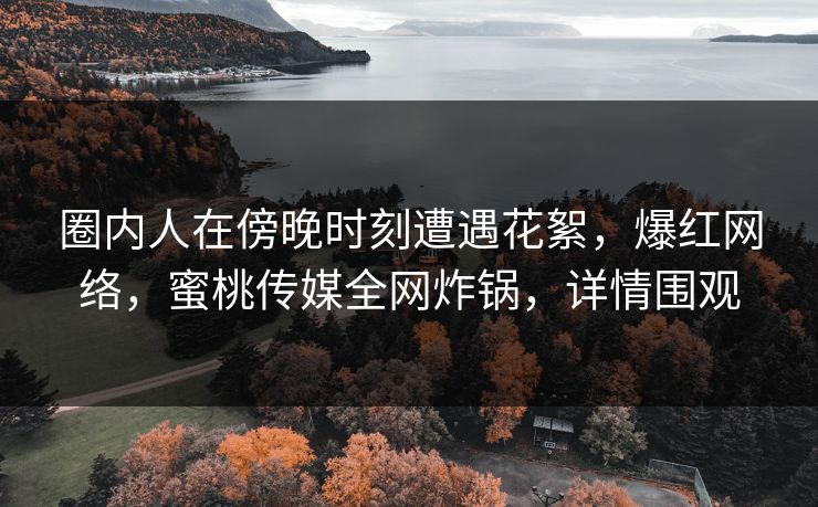 圈内人在傍晚时刻遭遇花絮，爆红网络，蜜桃传媒全网炸锅，详情围观