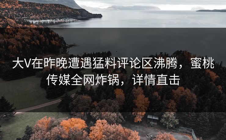 大V在昨晚遭遇猛料评论区沸腾，蜜桃传媒全网炸锅，详情直击