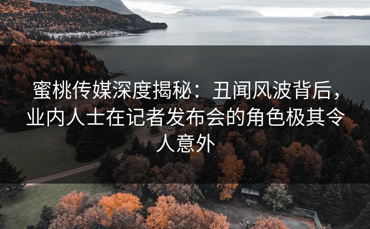 蜜桃传媒深度揭秘：丑闻风波背后，业内人士在记者发布会的角色极其令人意外