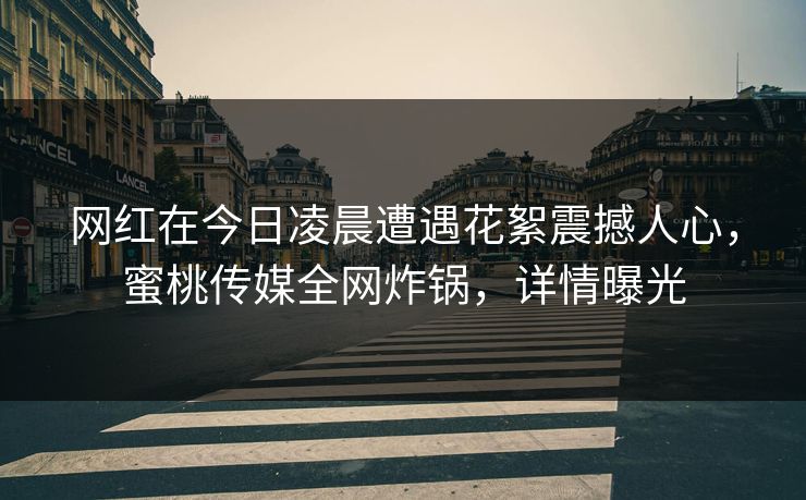 网红在今日凌晨遭遇花絮震撼人心，蜜桃传媒全网炸锅，详情曝光