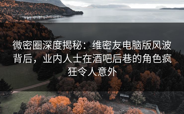微密圈深度揭秘：维密友电脑版风波背后，业内人士在酒吧后巷的角色疯狂令人意外