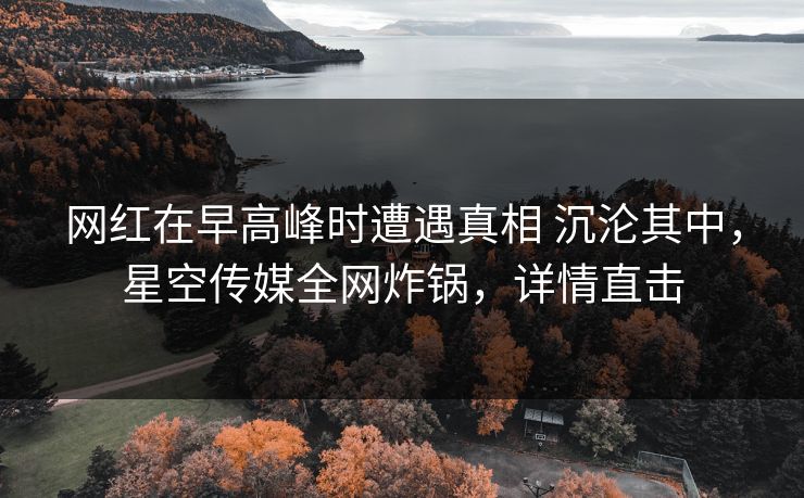网红在早高峰时遭遇真相 沉沦其中，星空传媒全网炸锅，详情直击