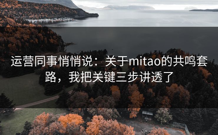 运营同事悄悄说：关于mitao的共鸣套路，我把关键三步讲透了