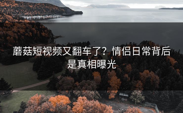 蘑菇短视频又翻车了？情侣日常背后是真相曝光